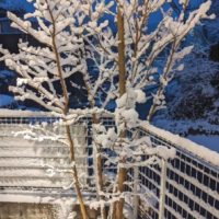 PXL_20220106_080249732