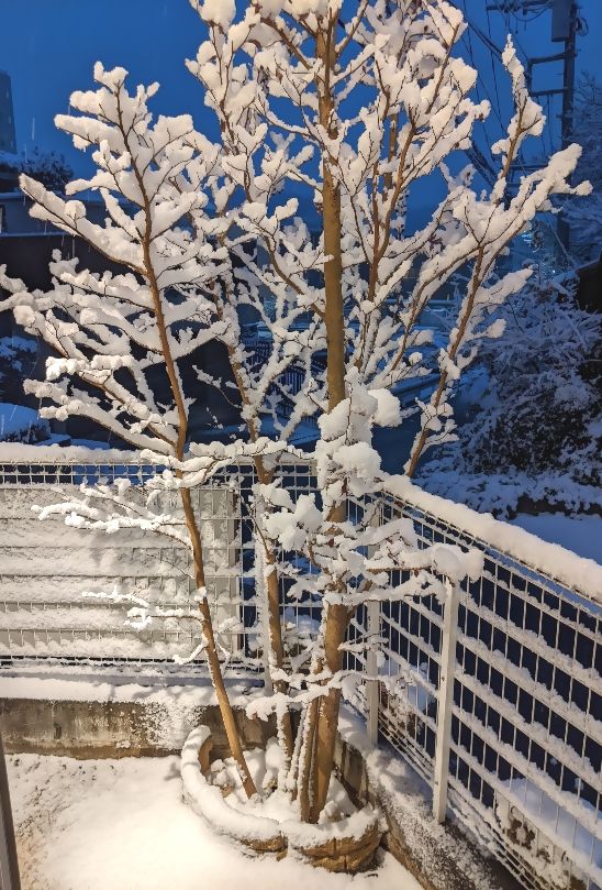 PXL_20220106_080249732