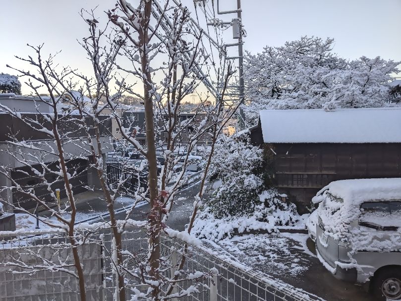 PXL_20220106_223010214